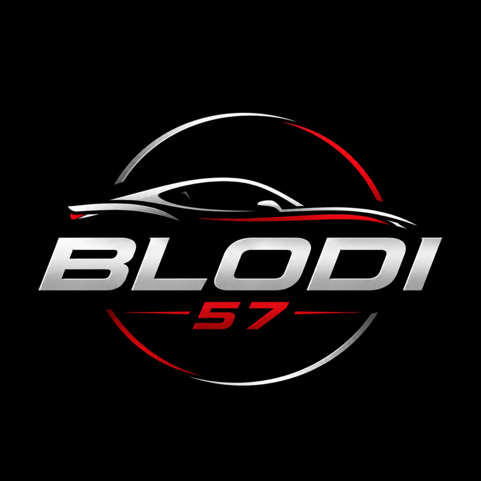 Logo BLODI SERVICES